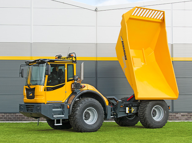 Bergmann 3012 R Plus